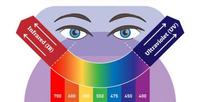 Espectro visible por el ojo humano