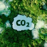 Cannabis ayuda a disminuir los niveles de CO2 en la atmósfera